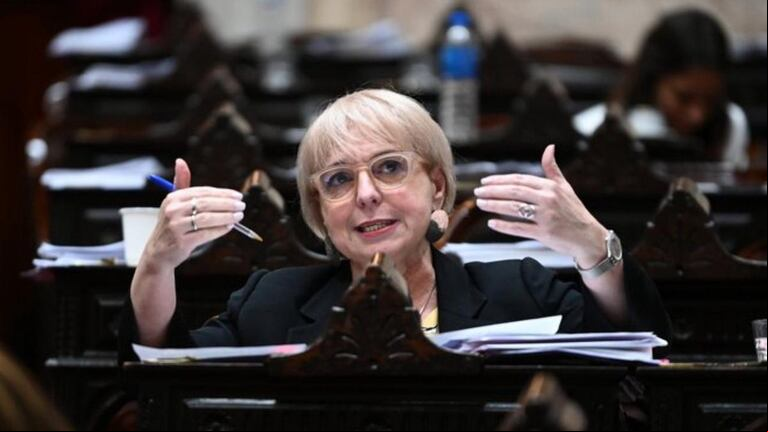 Silvana Giudici, la diputada Pro es quien propuso la creación de una comisión de expertos a discutir una reforma previsional. . Foto Cámara de Diputados