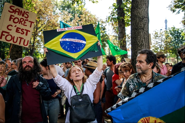 "Sin bosque, estamos jodidos", dice la pancarta de un manifestante parisino. (Foto: EFE/Christophe Petit Tesson).