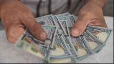 Sin cepo al dólar: a cuánto cotizan el oficial y las otras opciones cambiarias este 28 de mayo (Foto: Adobe Stock)