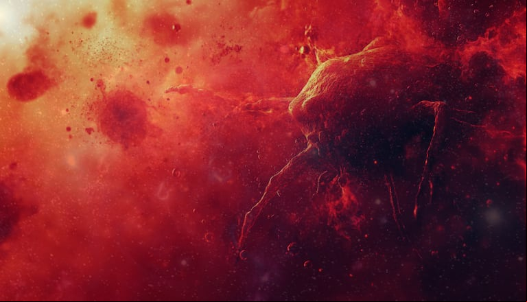 Sorpresa de la NASA: el telescopio James Webb detectó monstruos rojos en los confines del universo