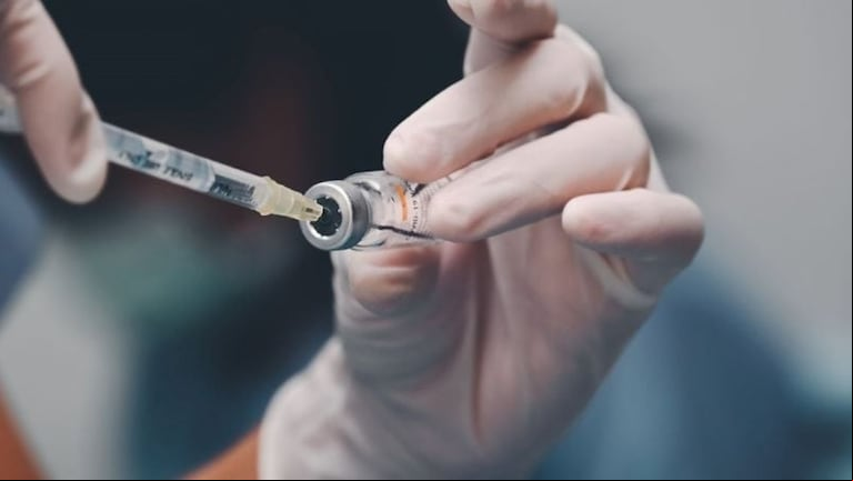 Todavía no existe un tratamiento contra el dengue, pero sí hay dos vacunas autorizadas. Adobe Stock