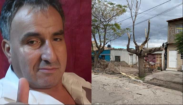 Tragedia en Mendoza: un hombre podaba el árbol de su casa, cayó desde 3 metros de altura y murió. (Foto: Gentileza Mdz Online)