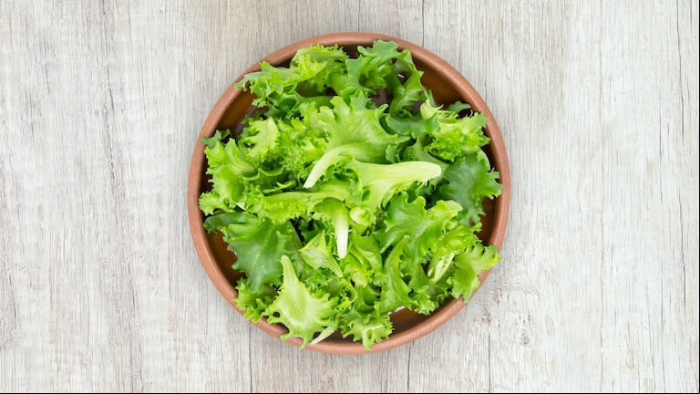 Trucos para diferenciar los tipos de lechuga y elegir la ideal para cada ocasión  (Foto: Unsplash)