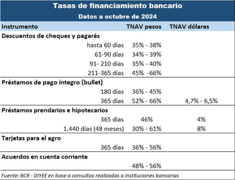 Un abanico de opciones financieras para los productores agropecuarios: tasas, plazos y tipos de monedas