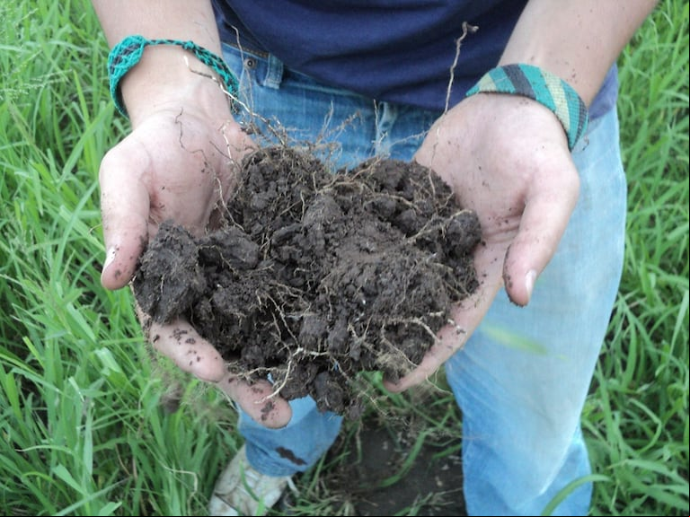 Un estudio demostró que 6 millones de hectáreas del NOA y NEA perdieron materia orgánica, pese a su historia agrícola más corta que la región pampeana. (Foto: INTA).