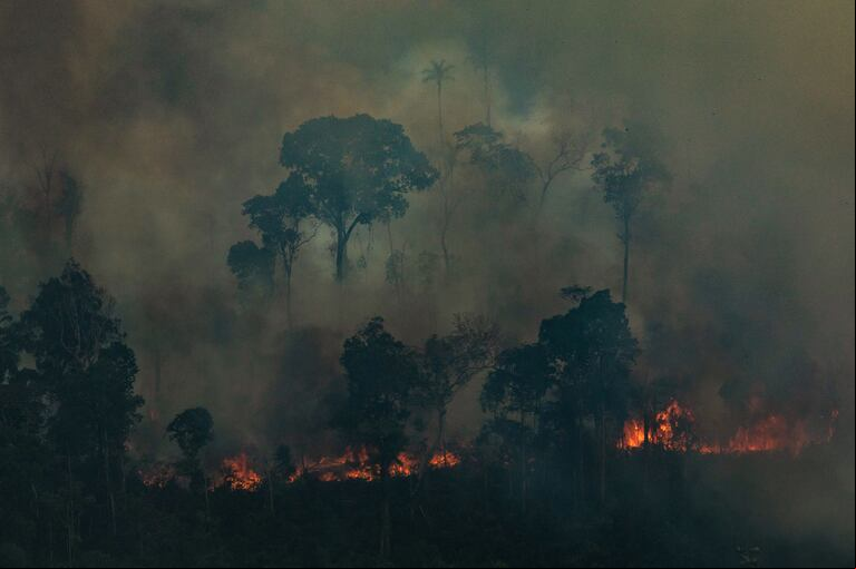 Un foco de incendio en la selva amazónica. (Foto: AFP/Greenpeace/Victor Morimaya).