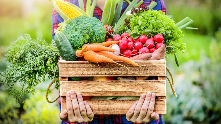Un informe de Coninagro, titulado “Del sueldo al plato”, reveló que entre marzo de 2024 y febrero de 2025 el poder de compra mostró una mejora significativa frente a productos esenciales de la canasta básica. (Foto: Adobe Stock)
