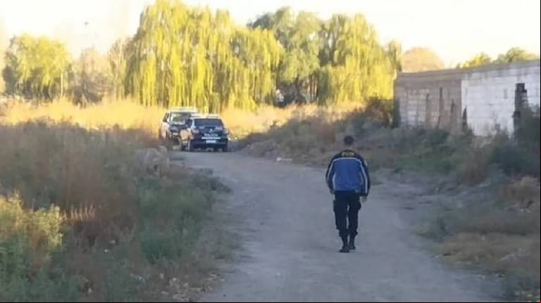Un vecino llamó al 911 y contó que su perro había llegado a casa con un cráneo quemado. (Foto: gentileza El Cuco Digital).