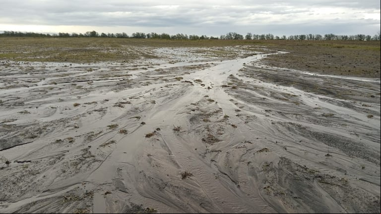 Un violento temporal con lluvias intensas y vientos fuertes afectó la zona núcleo, con acumulados de hasta 131 mm en San Víctor, Entre Ríos. (Foto: X LuMijoch).