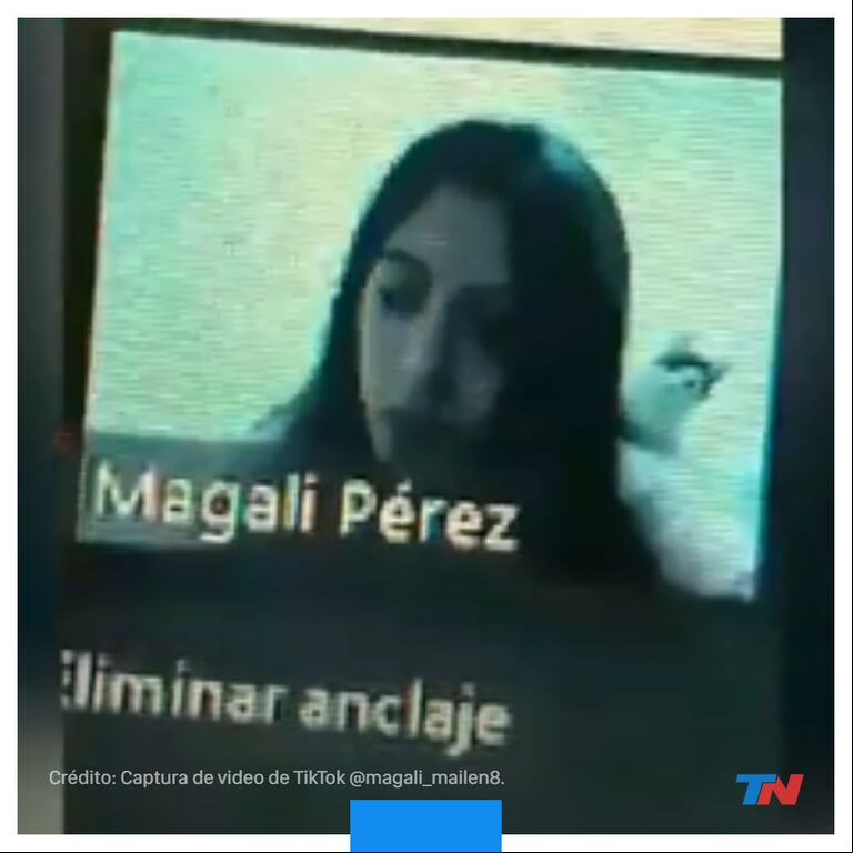 Una joven fue interrumpida por su gato mientras estaba en clases virtuales y el clip se volvió viral. (Foto: Captura de video de TikTok @magali_mailen8).