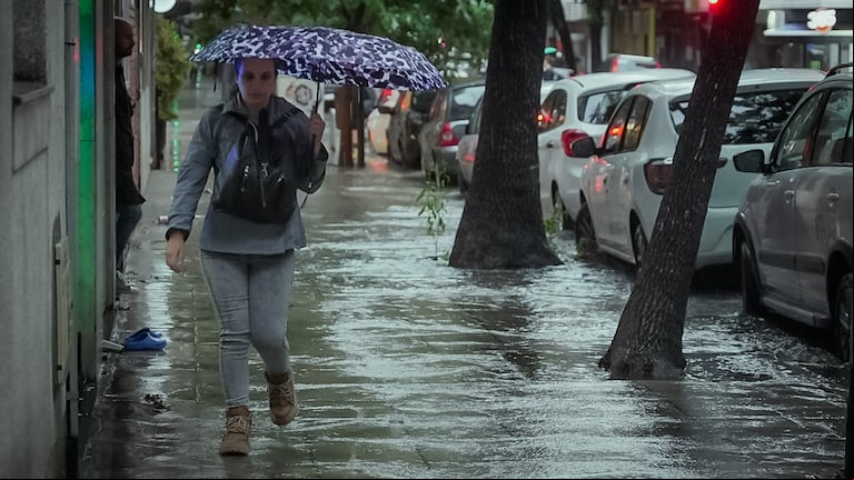Una provincia presenta alerta amarilla por fuertes vientos y lluvias. (Foto: Leandro Heredia/TN).
