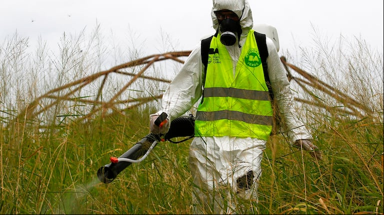 Uniformados fueron diagnosticados por dengue en la Argentina (Foto: Reuters / Enrique Marcarian).