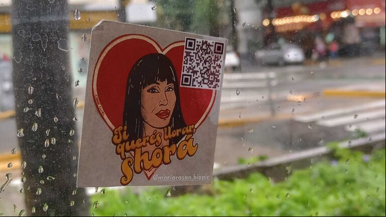 Uno de los stickers que pegaron en colectivos de la Ciudad de Buenos Aires para difundir la biopic. (Foto: TN)