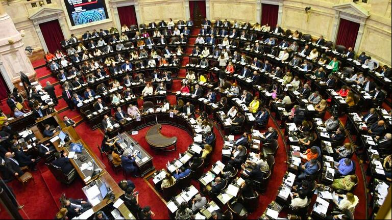 Varios integrantes de la Cámara de Diputados expresaron su repudio por el fallo de la Corte santafesina sobre el femicidio de Chiara Páez. (Foto: HCDN)