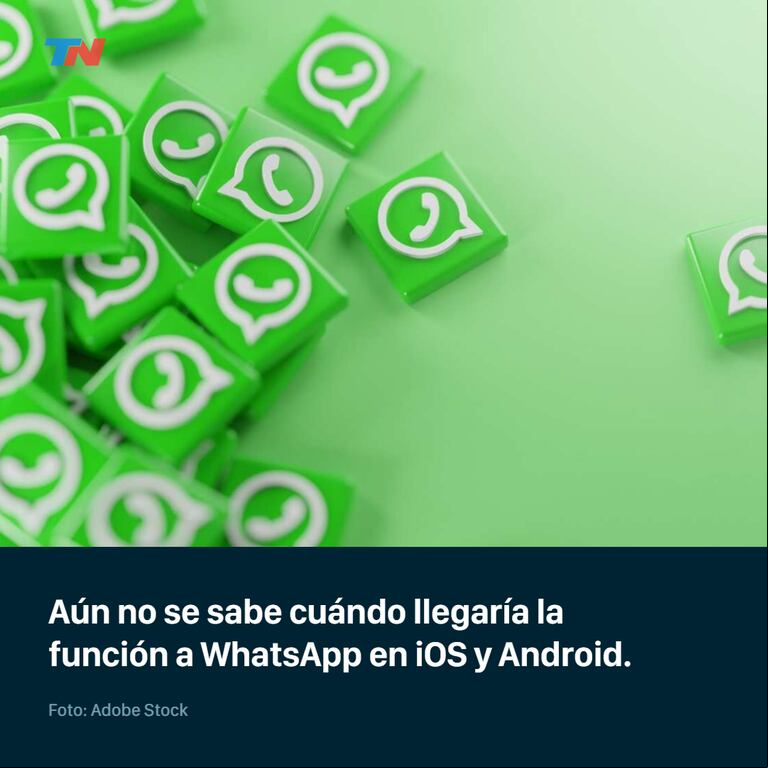 WhatsApp: cómo convertir fotos en stickers con un solo clic
